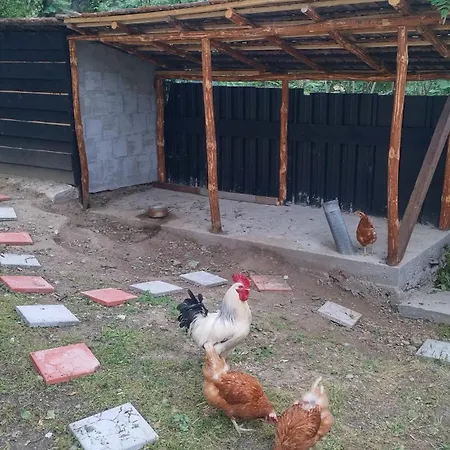 вишнева градина Vendégház 3*